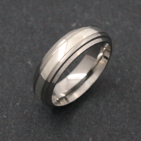 Titanium Ring - Silver Ramesses